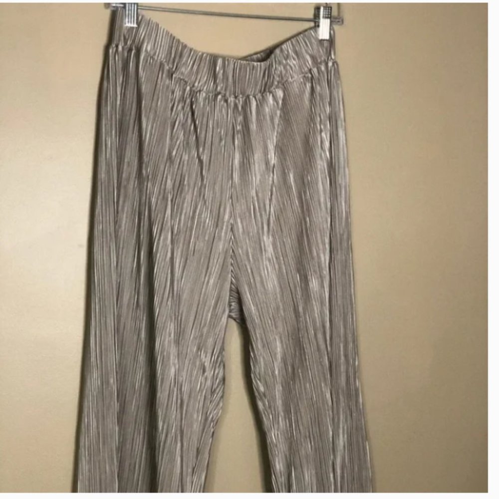 Anthropologie Dolan Pleated Pants in Taupe | Medium | Pleated Pants | Anthro - Picture 8 of 12